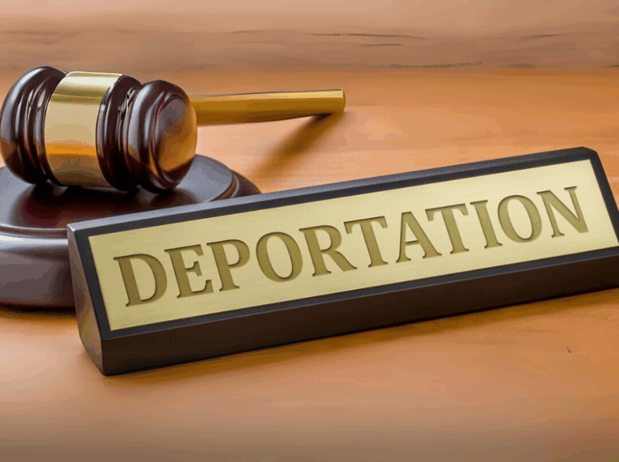 best immigration lawyer, immigration lawyer consultation