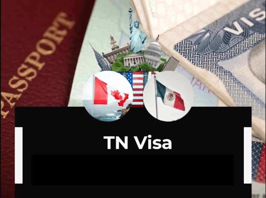 Professional immigration lawyer providing TN visa consultation for Canadian and Mexican citizens – expert in consular processing, family immigration, naturalization, and waivers of inadmissibility.